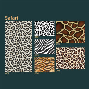 Safari